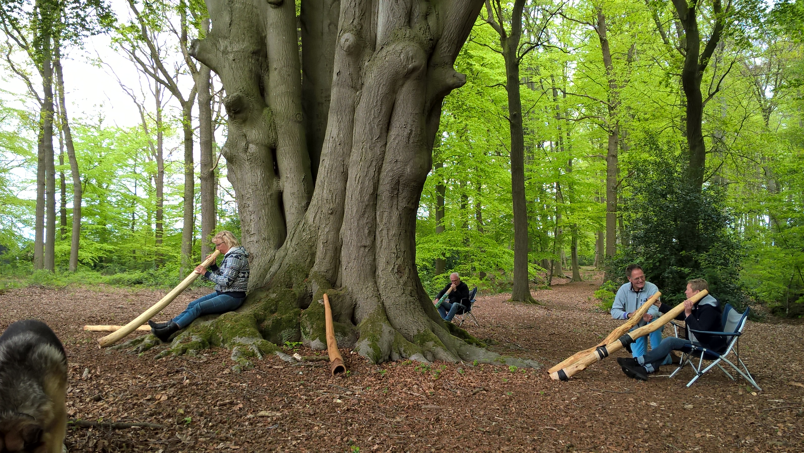 WP 20170512 12 18 02 Pro